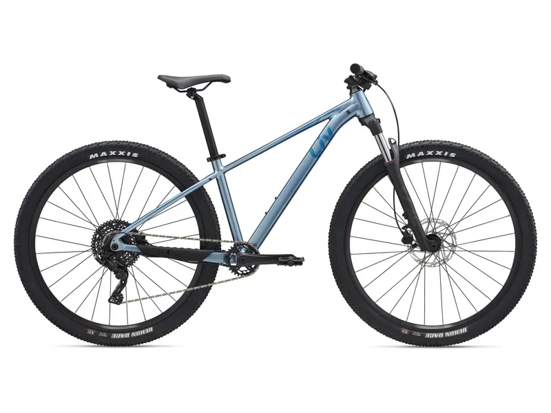 Liv Tempt 2 XC MTB In Frost Silver