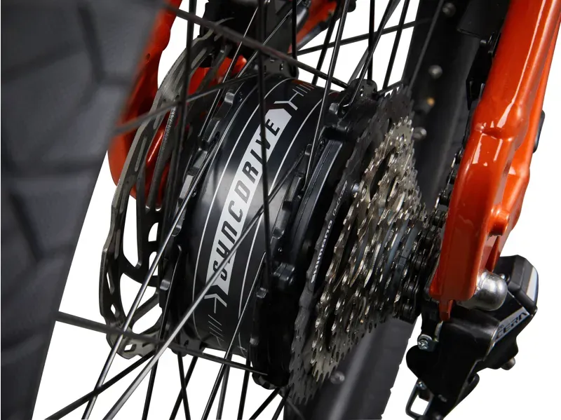 Momentum Vida E+ EX 28 MPH in Cinnamon-7