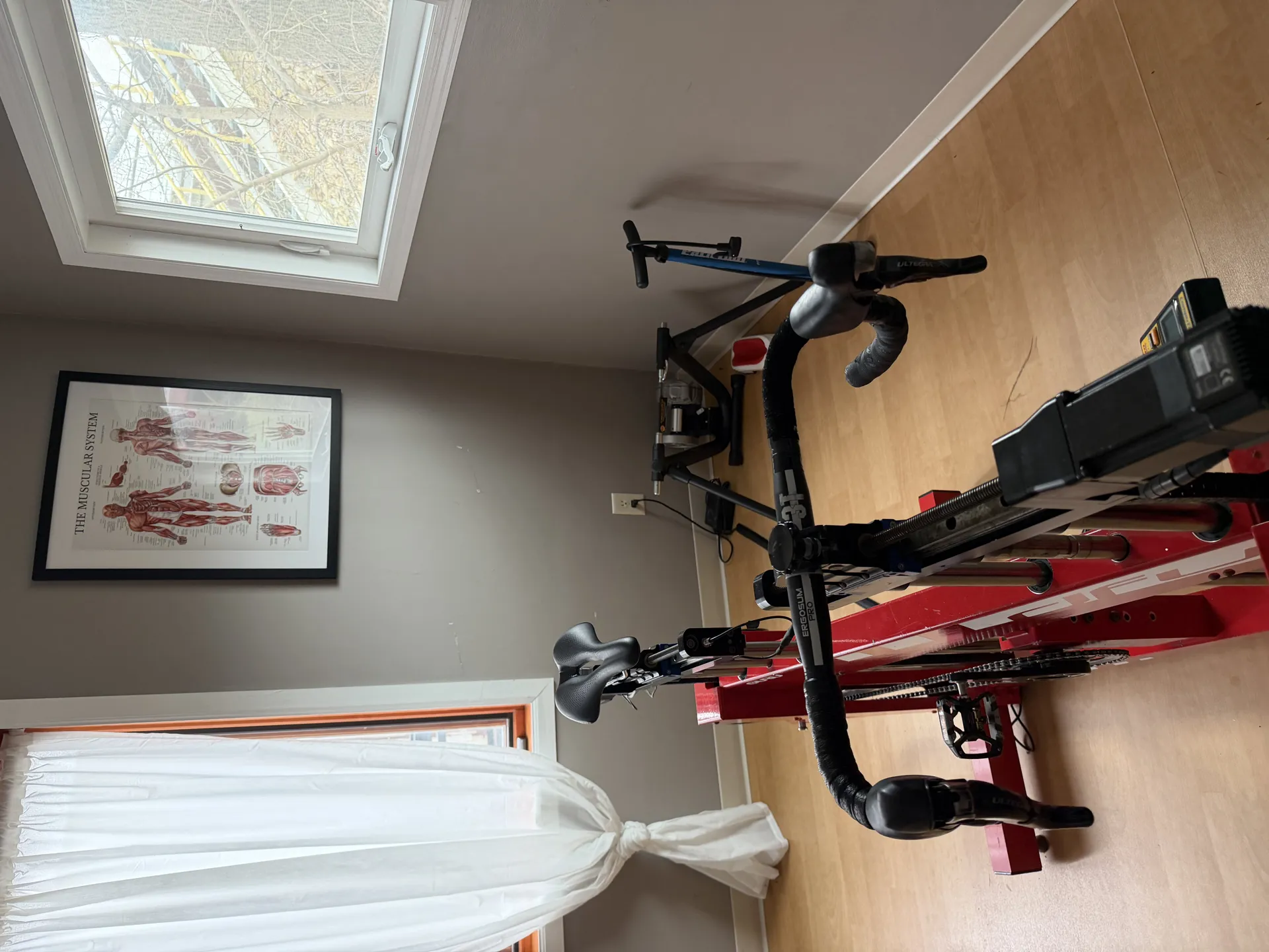 Bike Fitting Process